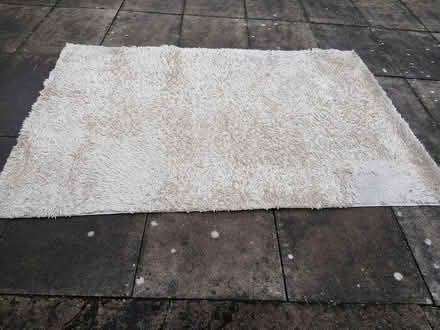Photo of free Mink rug 7ft 6 ins length (Sandbach CW11) #1