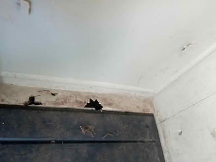 Photo of free Small plastic shed (CR44EX CR4) #3