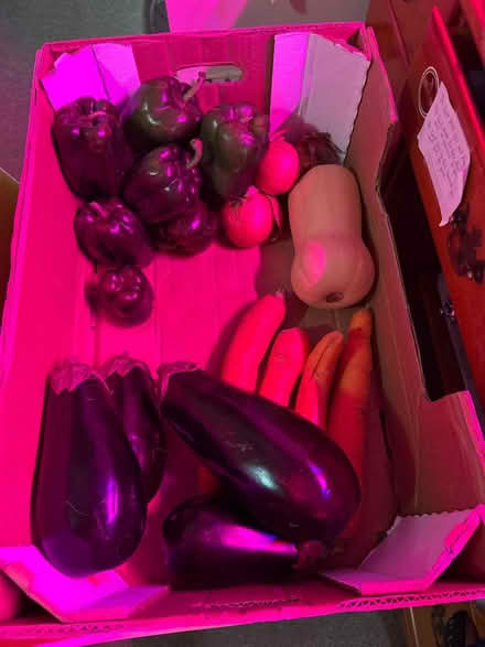 Photo of free Vegetables (Cleveland Ave, NA) #1
