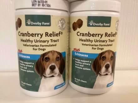 Photo of free Dog urinary support soft chews (Abram WN2) #1