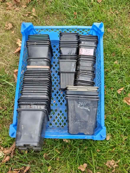 Photo of free Assorted pots and growing modules (Berkeley Heath GL13) #2