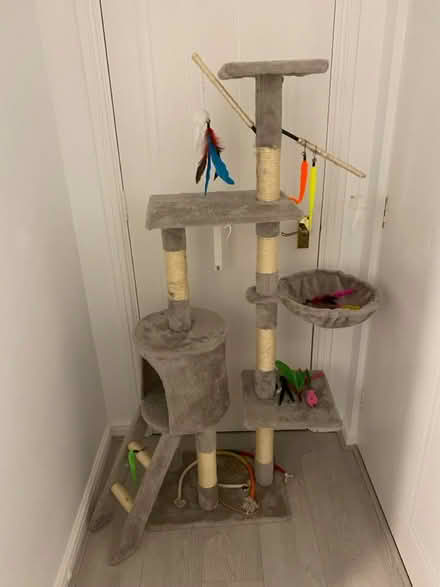 Photo of free Cat tower (Chafford Hundred RM16) #2