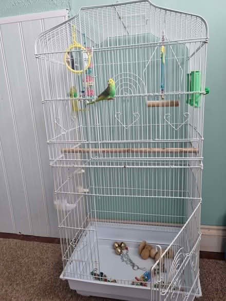 Photo of free large bird cage (Havant PO9) #2