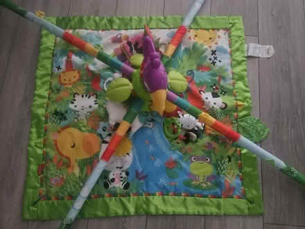 Photo of free Baby Play Mat (Fisher Price) (CR5) #3