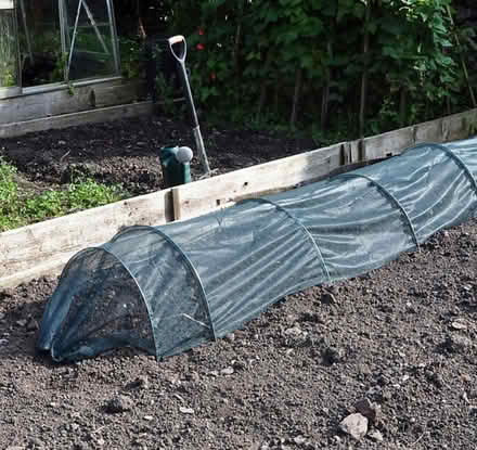 Photo of free 4 x 3 metre grow tunnels (Ashleigh Road EX8) #1