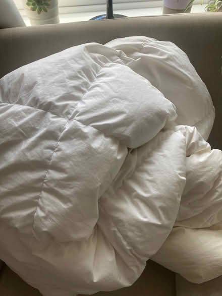 Photo of free Old duvets (Sharrow S11) #1