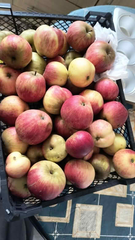 Photo of free Apple (Bristol Bs9) #1