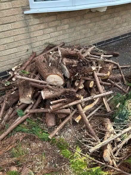 Photo of free Logs (Littleover, Derby) #1