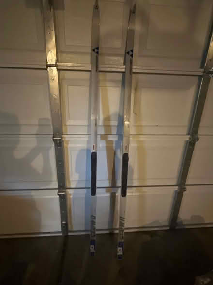 Photo of free XC skis (Royal Oak, MI) #1