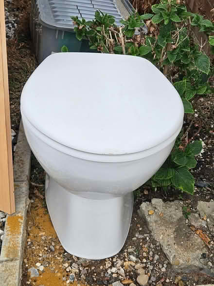 Photo of free Back to wall toilet (Church RG2) #1