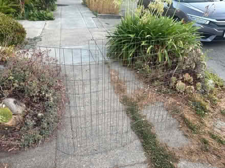 Photo of free Wire fencing 88x36 (Berkeley) #1