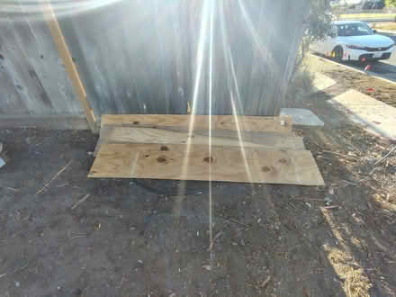 Photo of free Plywood (Cupertino City Hall) #1