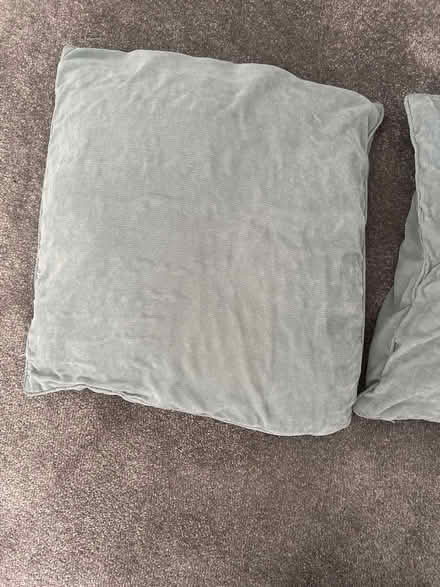 Photo of free 2 duck egg cushions (SK15) #2