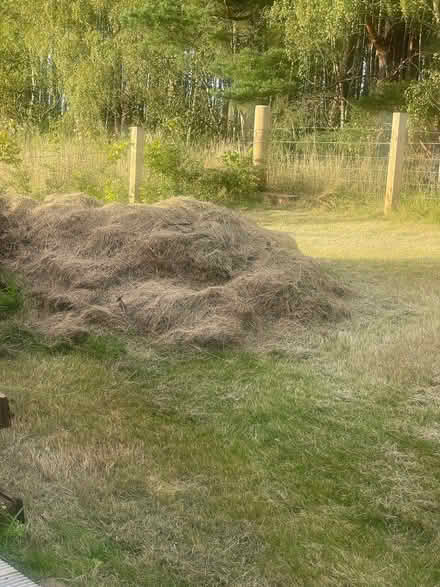 Photo of free Meadow grass hay (Crathes AB31) #1