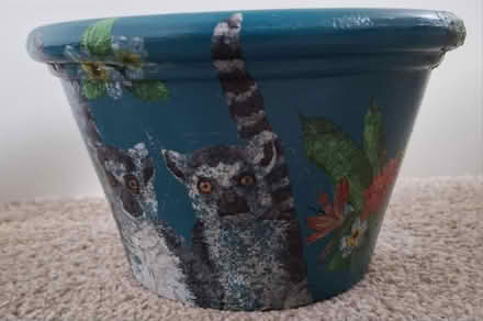 Photo of free 3 pottery plant pots (Tamworth, B77) #4