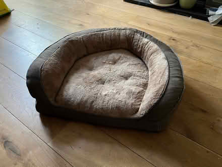 Photo of free Cat bed (Butterow GL5) #1