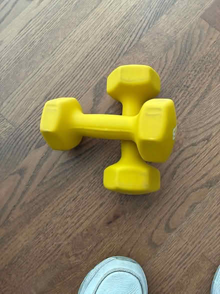 Photo of free 8 pound weights (11946) #1