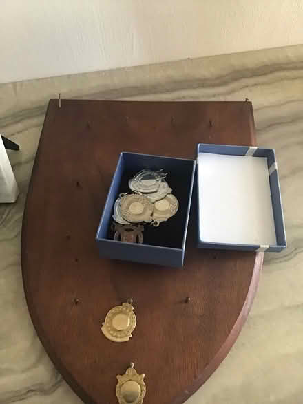 Photo of free Trophies and medals (Dublin 16) #2