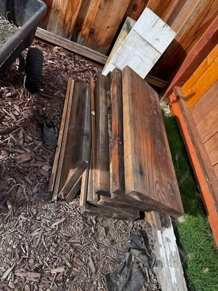 Photo of free Solid heart redwood (Mountain View Shoreline West) #2