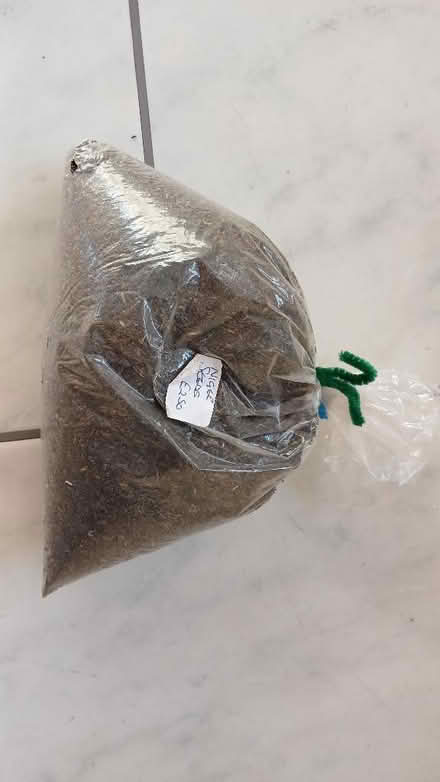 Photo of free Niger seed (Lexden CO3) #1