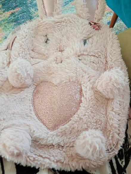 Photo of free Bunny ruck sack (Cowley Oxford OX4) #1