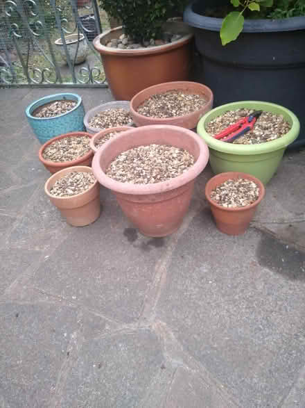 Photo of free Horticultural Gravel (Thorpe Bay, SS1) #2