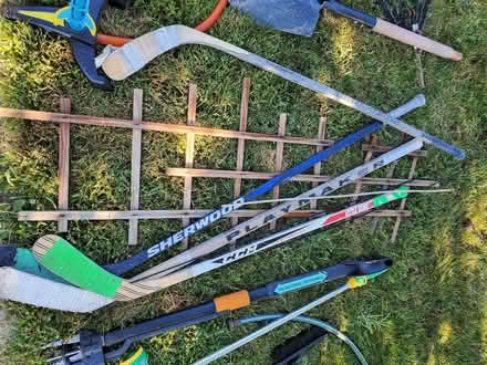 Photo of free Hockey Sticks (Near Experimental Farm) #1