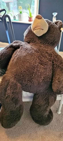 Photo of free Giant Teddy Bear (Moor Allerton LS17) #2