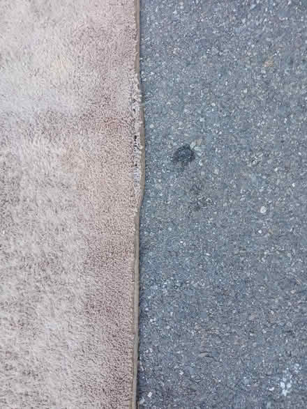 Photo of free Rug (Shoreline) #2