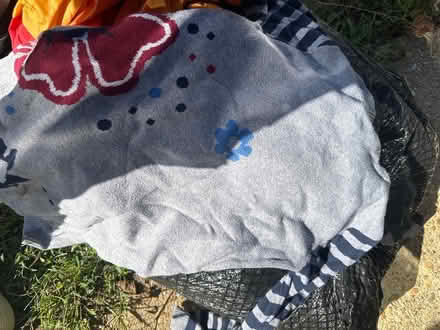 Photo of free Holiday clothing and decorations (Berwyn Heights) #3