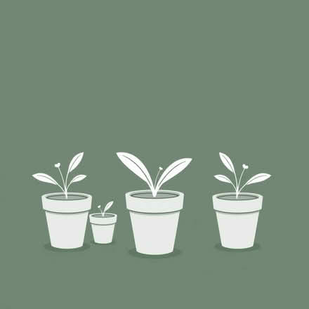 Photo of free Plastic plant pots (Ham TW10) #1