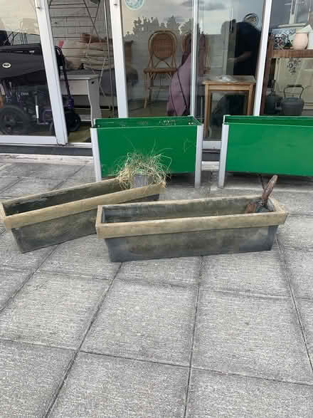 Photo of free Gardening things (East Finchley N2 0NX) #1