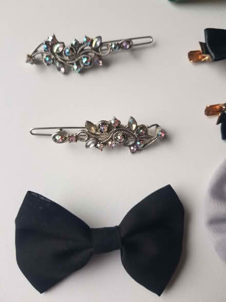 Photo of free Hairslides (Kendal LA9) #2
