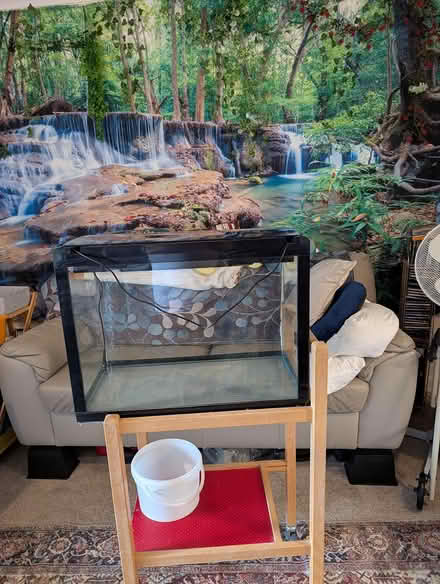 Photo of free Large fishtank with extras (Hythe kent) #1