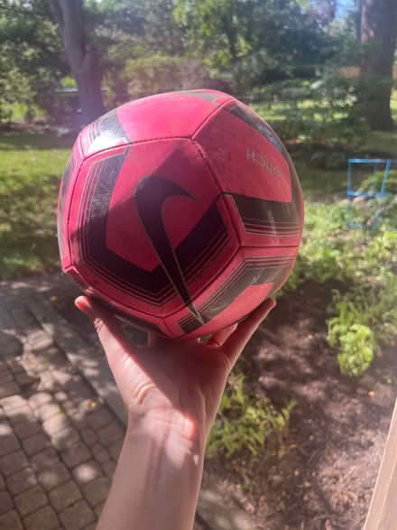 Photo of free Pink soccer ball (Royal Oak, MI) #1