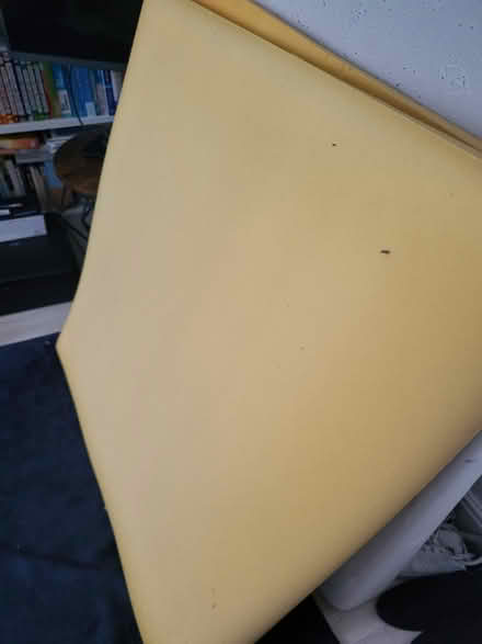 Photo of free Foam topper single (Willesden NW10) #1
