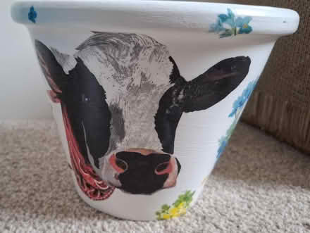 Photo of free 3 pottery plant pots (Tamworth, B77) #3