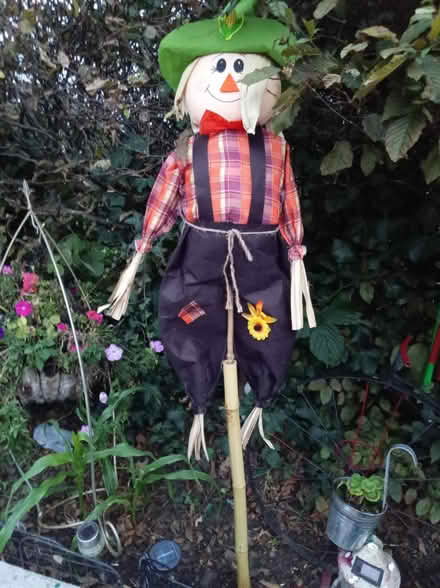 Photo of free Autumn scarecrow 4 ft tall (Greasby CH492QA) #1