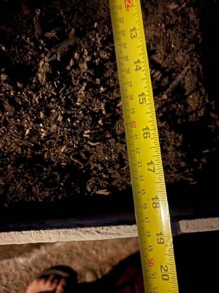 Photo of free Planters cement one with tree (Thorverton EX5) #4