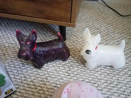 Photo of free Scotty dog candles (7531 rising sun avenue) #1
