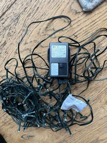 Photo of free Christmas lights (Willen Park MK15) #1