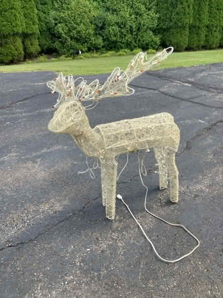 Photo of free Working lighted deer (Maple and drake area) #1