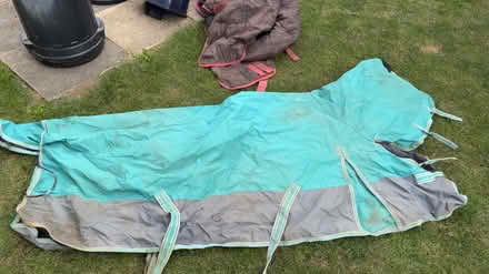 Photo of free Horse turnout rugs (Bassingbourn, SG8) #4
