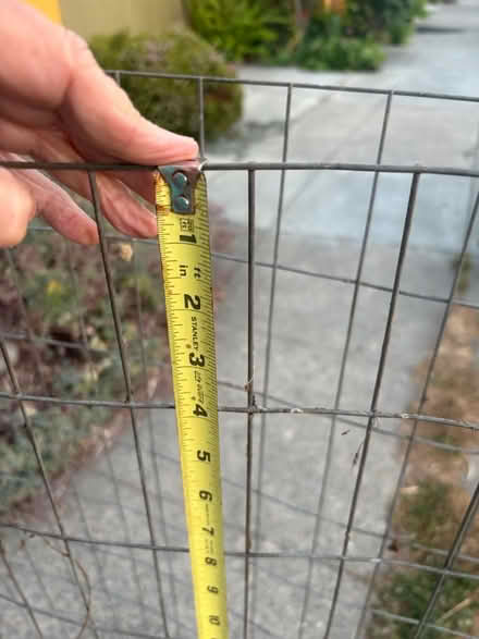 Photo of free Wire fencing 88x36 (Berkeley) #2