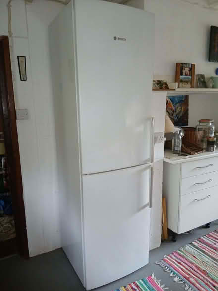 Photo of free Fridge freezer (Danehill RH17) #1
