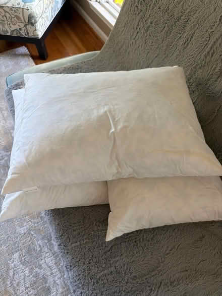 Photo of free Down filled throw pillows (Near Montrose Rd and 270) #1
