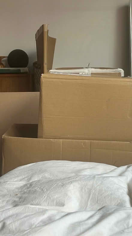 Photo of free Bunch of Cardboard Boxes 📦 (Richmond TW9) #1