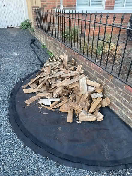 Photo of free Old dry wood (Kingston upon Thames, KT1) #2
