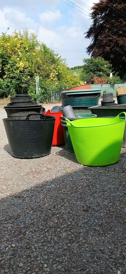 Photo of free Plastic plant pots (Clapham EX6) #2