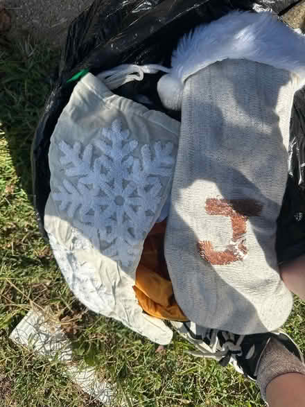 Photo of free Holiday clothing and decorations (Berwyn Heights) #2